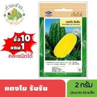 ราคา เจียไต๋ (ซื้อ10แถม1) แตงโม รันรัน ขนาด2กรัม ประมาณ55เมล็ด Watermelon แตงโม เมล็ดพันธุ์พืช เมล็ดผัก ปลูกผักสวนครัว (4838121074)