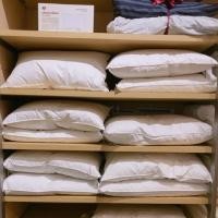 ราคา หมอนขนเป็ด MUJI ป้ายยังไม่แกะ ขายเพราะซื้อมาผิดขนาด (1823004494)