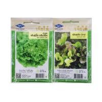 ราคา เมล็ดผักสลัด (เจียไต๋) ผักสลัดกรีนโอ๊ค ผักสลัดมิกซ์ (15345306363)