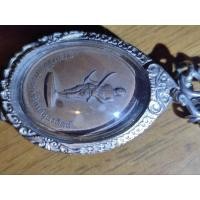 ราคา เหรียญพระยาพิชัยดาบหักปี2513 (23571202134)
