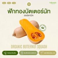 ราคา ฟักทองบัตเตอร์นัทอินทรีย์ Organic Butternut Squash อินทนิลออร์แกนิคฟาร์ม ปลูกธรรมชาติมาตรฐานเกษตรอินทรีย์ เก็บใหม่ทุกออเ (22947323422)