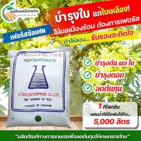ราคา ผงจุลธาตุเหล็ก FerousSulfate Monohydrate (30%) ขนาดบรรจุ 25 กิโลกรัม (20902295750)