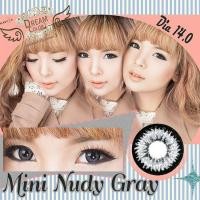 ราคา Nudy/Mini Nudy (Brown/Gray) คอนแทคเลนส์ตัดขอบดำ (1468916434)