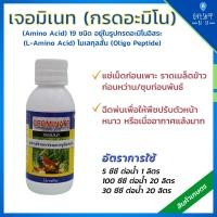 ราคา ปุ๋ยกิฟฟารีน เจอร์มิเนท กรดอะมิโน 19ชนิด แช่เมล็ด ก่อนเพาะ ราดเมล็ดข้าว ชุบกิ่ง พ่นใบ กิฟฟารีน ปุ๋ย (11714866789)