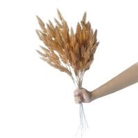 ราคา ต้นหางกระรอก ต้นไม้ดอกไม้ประดิษฐ์สำหรับจัดแจกัน (11531281401)