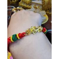 ราคา ปี่เซียะ แพ็คคู่สินค้าพร้อมส่ง (6668994200)