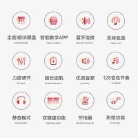 ราคา Bei Duochen เปียโนไฟฟ้าแบบพับได้ 88 คีย์เปียโนไฟฟ้าแบบพกพาเริ่มต้น Professional เปลี่ยนเปียโนรีดมือ (27615739840)