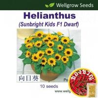 ราคา นก/ดอกไม้/สว/ สาก/ดอกทานตะวัน/ดอกไม้/สัตว์ใหญ่/ข้าวโพด/ดอกทานตะวัน/แอปเปิ้ล/กระบองเพชร/ผู้หญิง/กระบองเพชร/กระโปรง/กางเกง (18970804995)