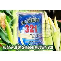 ราคา เมล็ดพันธุ์ข้าวฝักอ่อน ข้าวโพดแอ้ แปซิฟิค 321 ถุง 5 กก (21279688523)