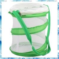 ราคา [ ] ตู้ที่อยู่อาศัยกรงแมลงผีเสื้อติดสวดมนต์ขนาดเล็ก (24485882632)