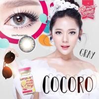 ราคา Mini Cocoro Grayสายตาปกติ(kitty kawaii) (3901545160)