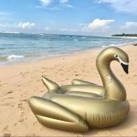 ราคา ห่วงยางแฟนซี แพยาง Gaint Golden Swan (25921207334)