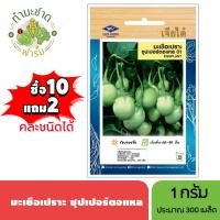 ราคา เจียไต๋ (ซื้อ10แถม2) เมล็ดพันธุ์ มะเขือเปราะซุปเปอร์ตอแหล ขนาด1กรัม ประมาณ340เมล็ด Eggplant มะเขือเปราะ เมล็ดพันธุ์พืช (4318011711)