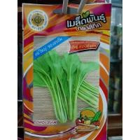 ราคา เมล็ดผักกาดกวางตุ้ง พันธุ์ กวางตุ้งต้น 4 ทิศ 10 แถม 1 เมล็ดผัก เมล็ดพันธุ์ ตรา สี่ทิศ 4ทิศ (5014864560)