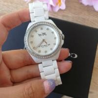 ราคา Coach ceramic 14502499 (1291014965)