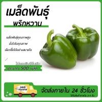 ราคา พริกยักษ์หวาน เมล็ดพันธุ์พริกยักษ์หวาน 500 เมล็ดปลูกง่าย☘️โตไวผลดก (27024673727)