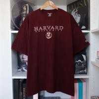 ราคา เสื้อยืด Champion, Harvard University มือสองของแท้ (24651103776)
