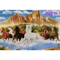 ราคา รูปภาพโปสเตอร์ไม่ใช่สติ๊กเกอร์(รวมภาพเสริมฮวงจุ้ย)รูปภาพม้า 8 ตัว รูปภาพสำเภาทอง นกยูง ปลาคราฟ เสือ โบตั๋น มังกร (6612607351)