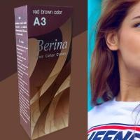 ราคา Hot เบอริน่า A3 สีน้ำตาลแดง สีผม สีย้อมผม เปลี่ยนสีผม ครีมย้อมผม Berina A3 Red Brown Hair Color Cream (24722902583)