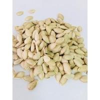 ราคา เมล็ดบัตเตอร์นัท (Wathum Butternut Squash seeds) บรรจุ 10 เมล็ด (7119341709)