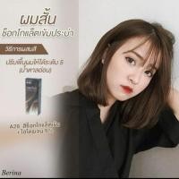 ราคา Berina เบอริน่า A28 สีช็อกโกแล็ตเข้ม (15471133874)