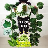 ราคา เถาวัลย์ปลอม รุ่น GW0016ใบองุ่นใหญ่เถาสีเขียว ใบเลื้อย ใบไม้ประดิษฐ์1เส้นยาว 245cm เถาวัลย์ใบไม้ พวงเถาวัลย์ประดิษฐ์เถา (18689907713)