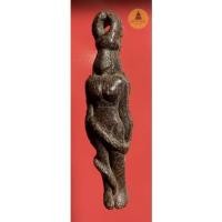 ราคา นารีผล พระอาจารย์นก วัดเขาบังเหย จ.ชัยภูมิ เนื้อว่าน (20308665028)