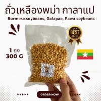 ราคา ถั่วเหลืองพม่า กาลาแป ถั่วเหลืองแปหว่าถั่วชีก 300g (28203145390)