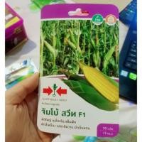 ราคา เมล็ดพันธุ์ข้าวโพดหวาน จัมโบ้ สวีท ตราศรแดง จำนวน 70 เมล็ด (7732562840)