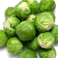 ราคา กะหล่ำดาว สีเขียว (เมล็ด) Brussels Sprouts Seed (1511531765)