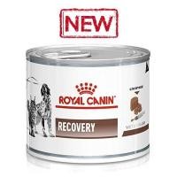 ราคา อาหารสัตว์ป่วย พักฟื้น Royal Canin Recovery (5117654079)