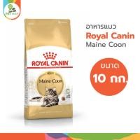 ราคา Royal canin Maine coon อาหารแมวเมนคูน ขนาด 10 กก. (14690165377)