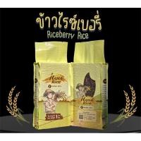 ราคา Nana rice ข้าวกล้องไรซ์เบอรี่ riceberry อินทรีย์แท้100% 1กก สุญญากาศ (2369931052)