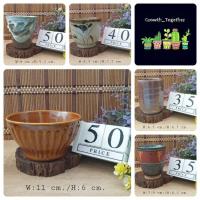 ราคา กระถางเซรามิกญี่ปุ่นมือสอง กระถางกระบองเพชร ไม้จิ๋ว ราคาถูก (4615458423)