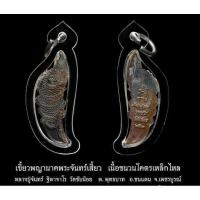 ราคา เขี้ยวพญานาครุ่นพระจันทร์เสี้ยว ปี 64 หลวงปู่จันทร์ วัดซับน้อย จ.เพชรบูรณ์ซองเดิม (26355376160)