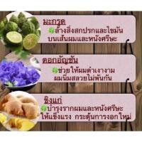 ราคา ผลิตภัณฑ์จากสมุนไพร/แชมพู/ครีมนวด/น้ำยาล้างจาน by oyster (10028958391)