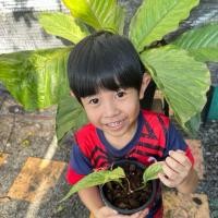 ราคา โชคเก้าชั้นด่างขาว/โชคเก้าชั้นด่าง (24751324090)