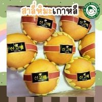 ราคา พร้อมส่ง สาลี่หิมะ สาลี่หิมะเกาหลี ผลไม้นำเข้า Korean Pears หวาน กรอบอร่อย (18ลููก) (27275436529)
