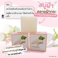 ราคา Purewhitelife Miracle Soap สบู่ผิวหน้า สบู่ลดฝ้า เพิ่มความกระจ่างใส ลดความคล้ำหมอง 70g (14252447447)