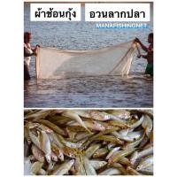 ราคา อวนลากปลา แบบสำเร็จเย็บเป็นถุงพร้อมเชือกลาก ขนาด 4 เมตร - 7 เมตร (5993437834)