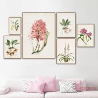 ราคา โปสเตอร์ผ้าใบลายดอกกล้วยไม้สีม่วงแดงสําหรับตกแต่งบ้าน (7053476673)