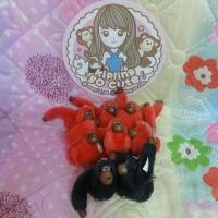 ราคา Kipling พวงกุญแจลิงมีหาง (1556059687)