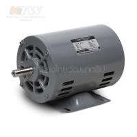 ราคา ลดเพิ่ม 120 ใส่โค้ด INCL8M3 HITACHI มอเตอร์ (EFOUP-KT) 1/2 HP 1PH 220V ( H071-0030 ) (3538368420)