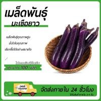 ราคา มะเขือยาวญี่ปุ่นสีม่วงเมล็ดพันธุ์มะเขือยาวสีม่วงญี่ปุ่น 100 เมล็ดปลูกง่ายลูกดกทานอร่อย (27624629068)