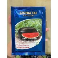 ราคา แบล็คบอมบ์ เมล็ดพันธุ์ แตงโม ลูกกลม เจียไต๋ ขนาด 40 กรัม (25085744395)