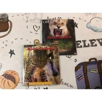 ราคา Vcd สารคดีสัตว์โลกน่ารัก 2แผ่น20 (6136987248)