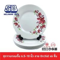 ราคา SB Melamine ชุดจานกลมตื้นเมลามีน 6 ชิ้น จานเมลามีน ขนาด 9 นิ้ว จานเมลามีน ลาย กล้วยไม้ P672 (11624784300)