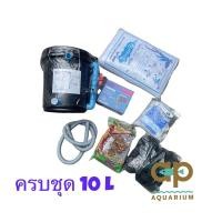 ราคา ถังกรองชุด 10 ลิตร ครบชุดสำหรับบ่อปลาขนาดเล็กรวมปั๊มน้ำ sp 2500 กับสายย่น (2493395644)