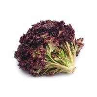 ราคา Lettuce : Ruby red ผักกาดหอมใบแดง รูบี้เรด / 50 เมล็ด (21677138718)
