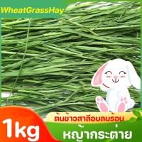 ราคา WheatGrassHay วีทกลาส 1kg หญ้าแมว ต้นข้าวสาลีอบลมร้อน หญ้ากระต่าย หนูแกสบี้ ชินชิลล่า (26022638002)